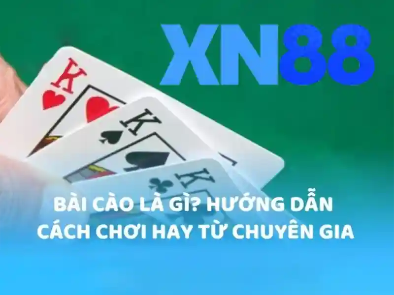 xn88-m***.com: Định vị thương hiệu và trải nghiệm đột phá