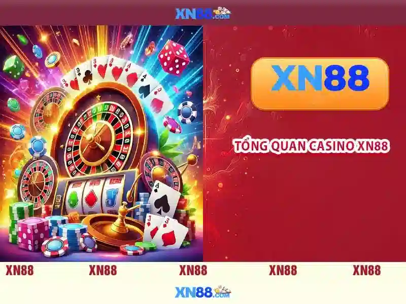 xn88: Tổng quan và thông tin cơ bản