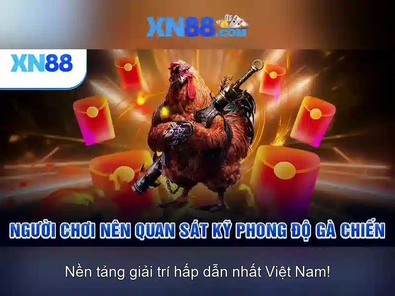 xn88 là gì và những đặc điểm nổi bật