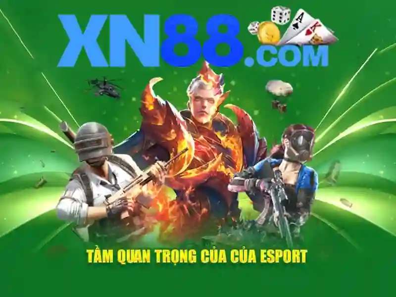 xn88 c: Hành trình thương hiệu và trải nghiệm người dùng