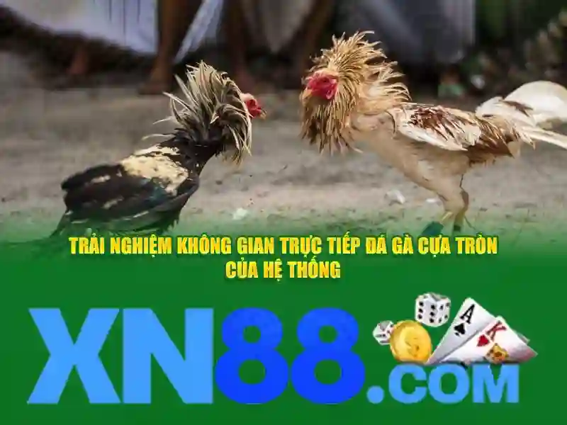 xn88: Nền tảng cá cược trực tuyến và thông tin tổng quan